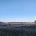 8 Person In Hovborg-by Traum Сasa de vacaciones Hovborg