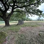 8 Person In Hovborg-by Traum Feriehus *