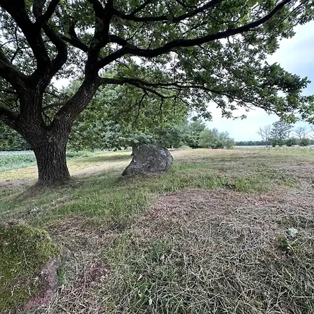 8 Person In Hovborg-by Traum Σπίτι διακοπών *