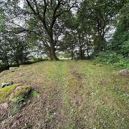 8 Person In Hovborg-by Traum Feriehus *