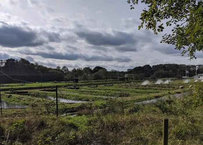 8 Person In Hovborg-by Traum Holiday home *