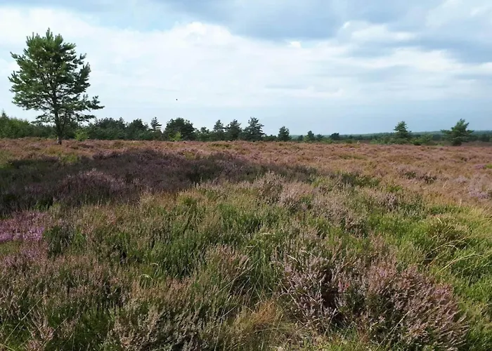 8 Person In Hovborg-by Traum Hovborg