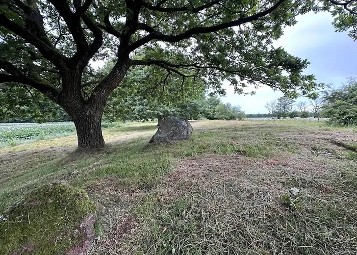 8 Person In Hovborg-by Traum Holiday home *